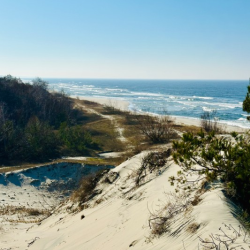 Персональная перезагрузка на Балтийской косе
