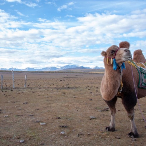 К местам силы из Иркутска: перезагрузка у высокогорного монгольского озера Хубсугул