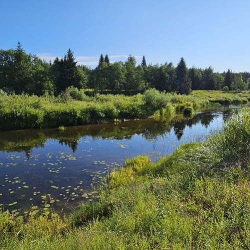 Подальше в лес: сплав на байдарках по реке Медведице