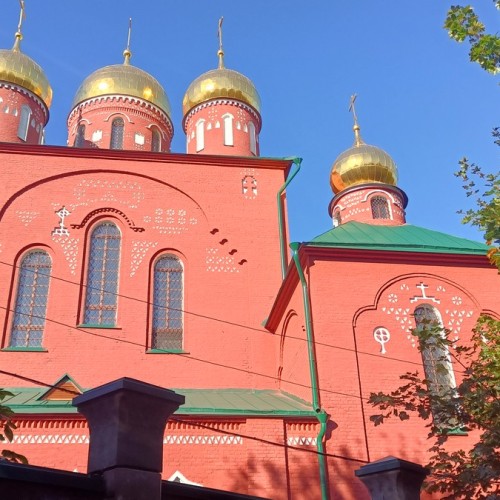 Грибы и гробы: по старинному кладбищу Нижнего Новгорода с микологом