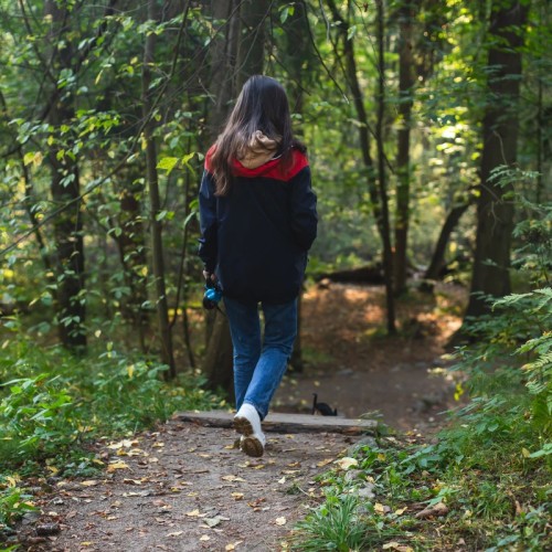 Большая прогулка по Комарово