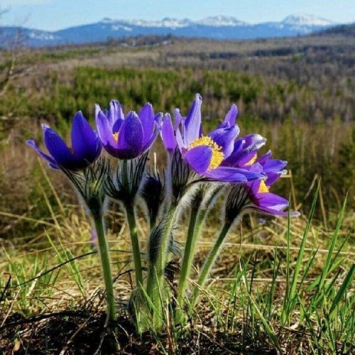 Влюбиться в Байкал: Ольхон, Листвянка и лучшие локации только для вас