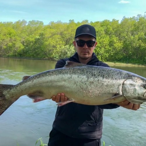 Рыбалка на Камчатке: ловим королевского лосося на реке Большой