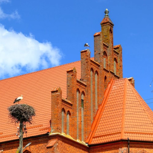 На столетия в прошлое: прусское наследие на востоке Калининградской области (индивидуально)