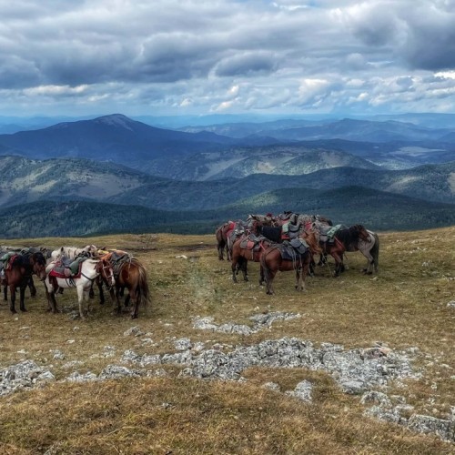 Верхом по Алтаю: конный тур для новичков с палатками (всё включено)