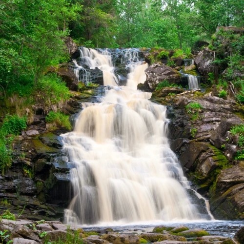 Аромат леса и сила воды: перезагрузка в Карелии с проживанием в глэмпинге