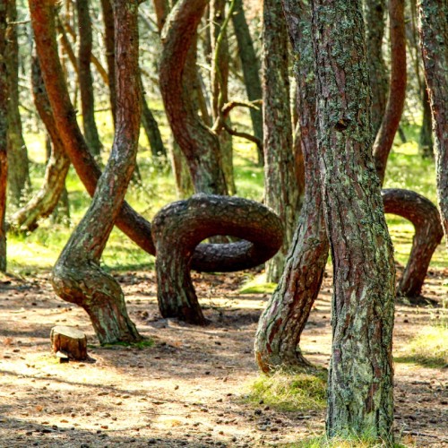 Выходные в европейском стиле: Калининград, Светлогорск и Зеленоградск