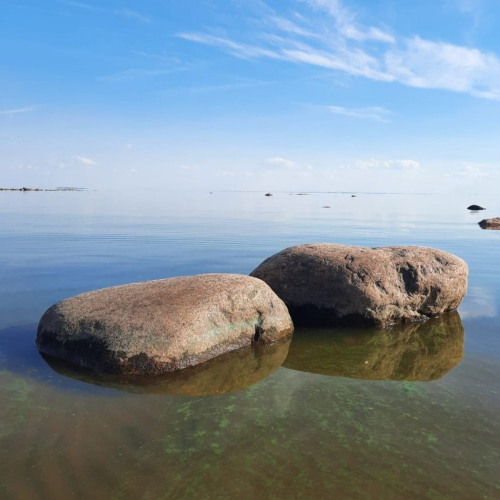 Жемчужины Финского залива: от Сестрорецка до Зеленогорска