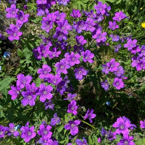 Палитра впечатлений на Кавказе: Кисловодск, Приэльбрусье, Домбай