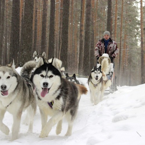 Царство льда: путешествие «всё включено» по главным достопримечательностям Байкала