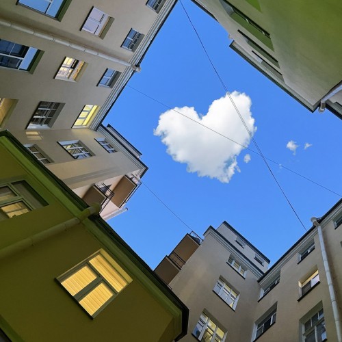 Квест «Влюбись в Петербург, если осмелишься»