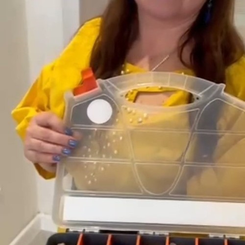 Оздоровительный индивидуальный тур с литотерапией в Белокурихе (всё включено)