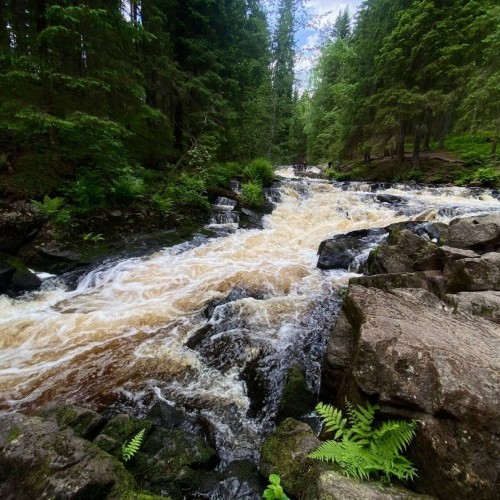 Выдыхай: перезагрузка с йога-практиками и арт-терапией в идиллических пейзажах Карелии