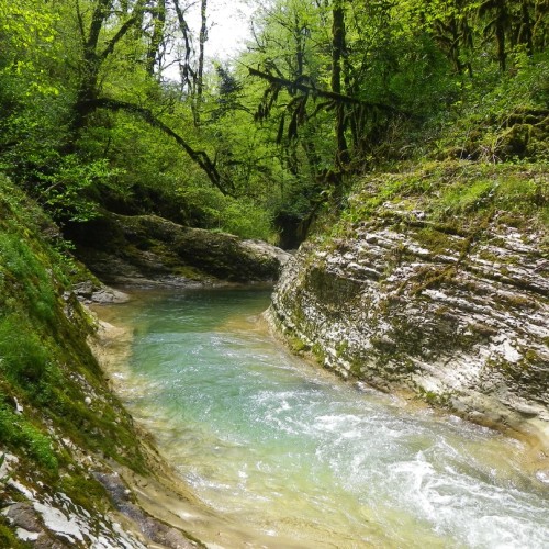 Большой тур по Сочи: природа, архитектура, история