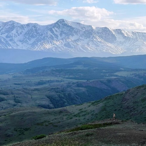Перезагрузка на Алтае: топ локаций, заповедное озеро и моторафтинг по Катуни