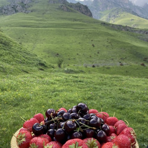 Горы, нарзан и самые вкусные шашлыки