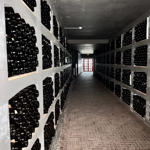 Вкусы черноморского побережья: винное путешествие по Сочи, Новороссийску, Геленджику, Анапе и Тамани