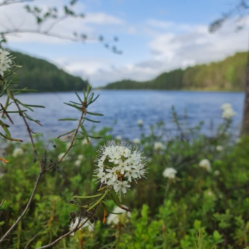 По Карелии на джипах в своей компании: «Марциальные воды», Гирвас и мистическая гора Воттоваара