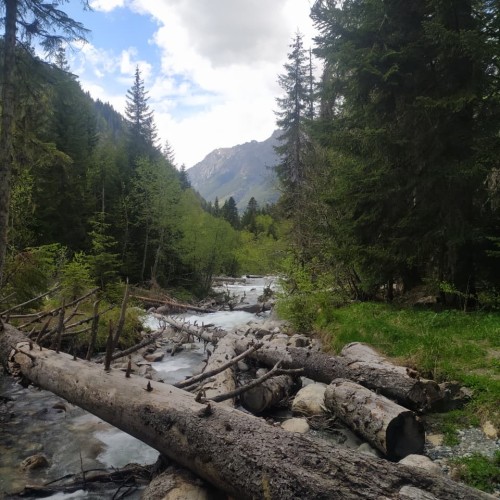 Природные и исторические сокровища Домбая и Архыза: джип-выезд в сердце Кавказа