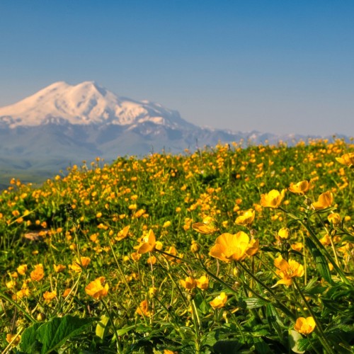 Индивидуально по Кавказу с посещением мест на выбор