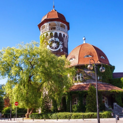 Отпуск в Калининграде и Светлогорске с экскурсиями на выбор