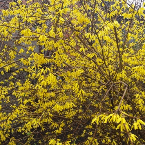 Из Горно-Алтайска — в Манжерок, Чемал и Зачемалье