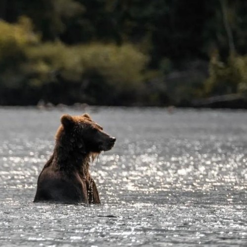 Топовые места Камчатки: налегке в мини-группе
