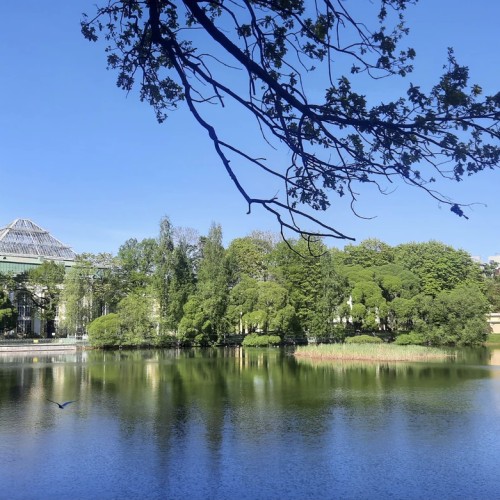 Гвардейские Пески: по местам славы императорских полков (мини-группа)