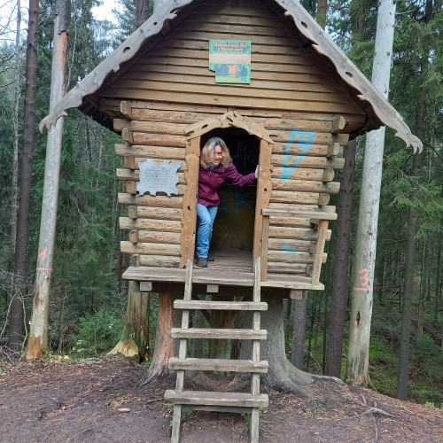 Верхом по Кавголовскому лесопарку — к питомнику зубробизонов