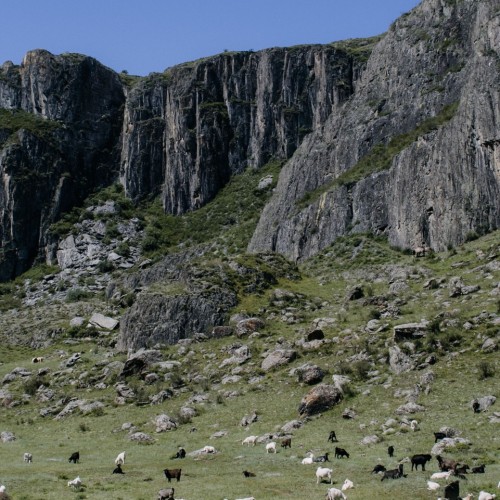 Неделя на Алтае: Телецкое озеро, Катунь и Чуйский тракт в мини-группе
