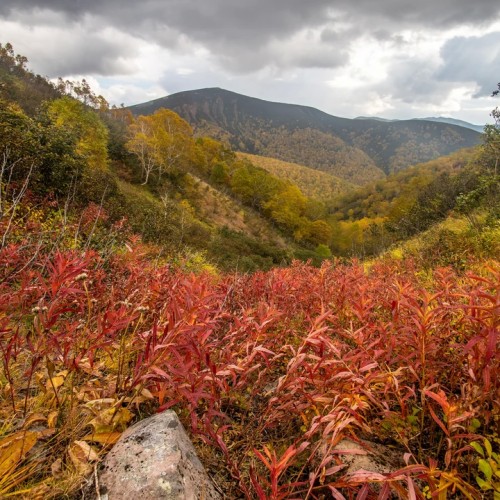 Большой поход с рюкзаками и палатками по Камчатке: вулканы, Тихий океан, термы и альпийские луга
