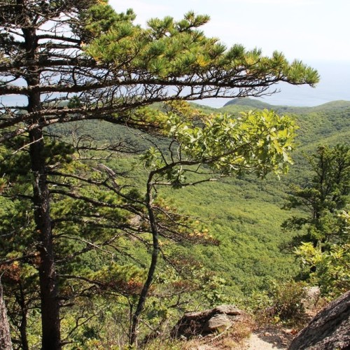 Через всю Россию по Транссибирской магистрали: большое путешествие от Москвы до Владивостока