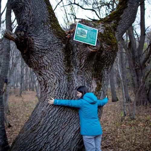 Я гуляю по Домбаю. 4 дня в горах