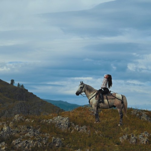Бороздим просторы Алтая верхом: активный тур для опытных всадников с фотосъёмкой
