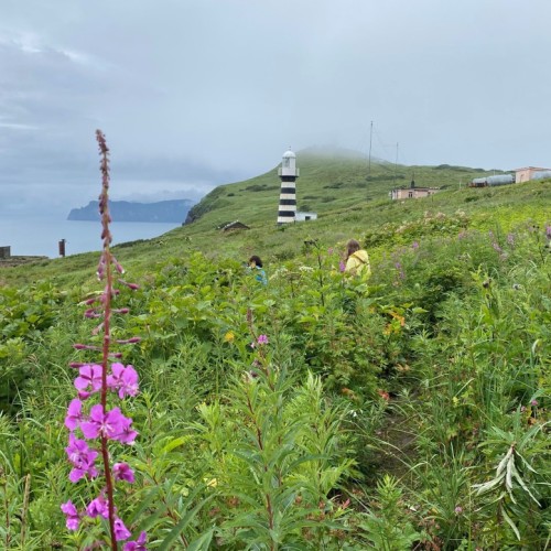 Природные красоты Камчатки: легко и без восхождений