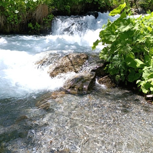 Выезд в Домбай на внедорожниках из Кисловодска: Гум-Баши, Мусса-Ачитара и Алибекский водопад