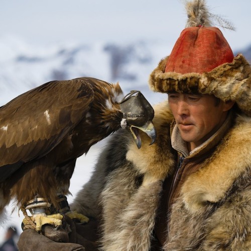 Из Алтая, по Чуйскому тракту — в Монголию на фестиваль беркутчи с проживанием в юрте