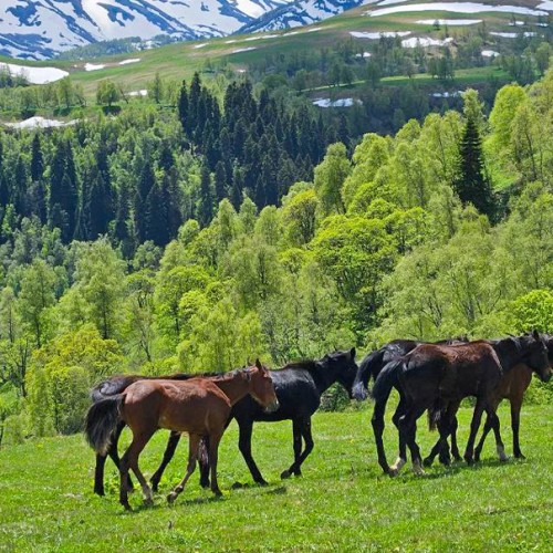 Весенний Архыз: треккинг налегке с проживанием в гостинице
