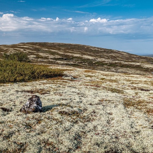 На Кольский полуостров через Карелию: автобусный тур по знаковым локациям (из Санкт-Петербурга)