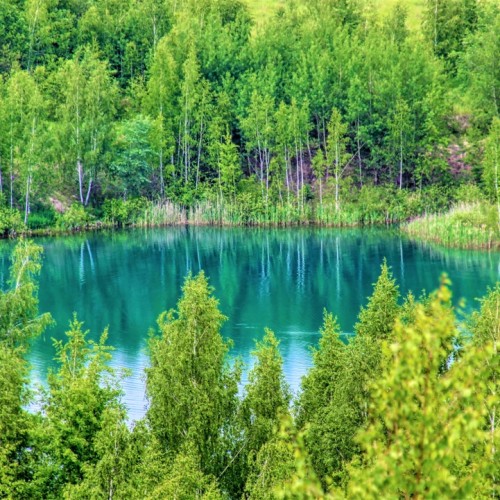 Со вкусом вина и ароматом лаванды: в Липецкую и Тульскую области из Москвы