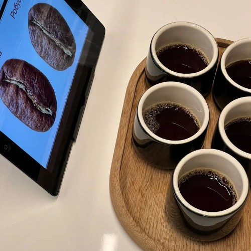 Кофейный мастер-класс и дегустация в Петербурге