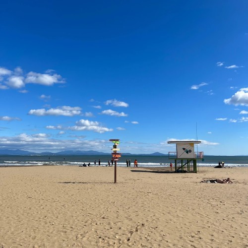 Тигры, море, шашлычок
