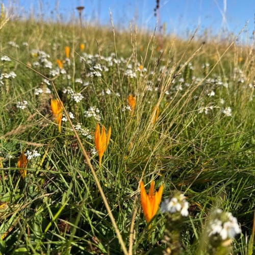 Спортивный уик-энд на Кавказе в мини-группе: забег по маршруту «Тридцатка»