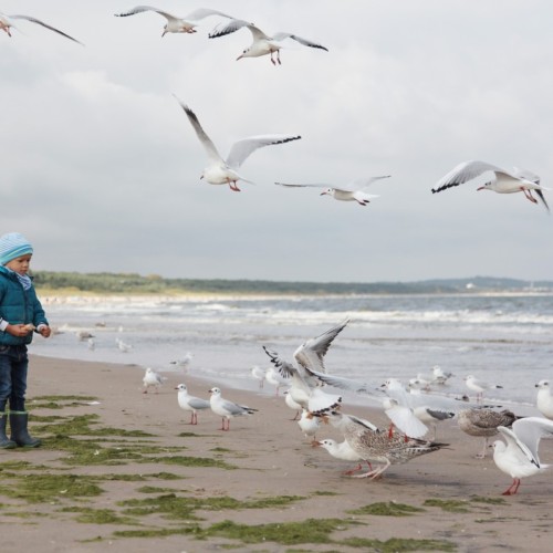 Индивидуальная перезагрузка на Куршской косе и увлекательные экскурсии