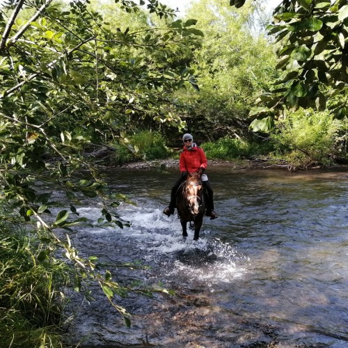 На лошадях к Корякскому вулкану с палатками. Всё включено