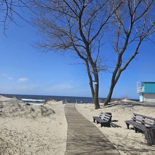 Индивидуальная поездка в Калининград: Балтийск, Светлогорск, Зеленоградск и Куршская коса