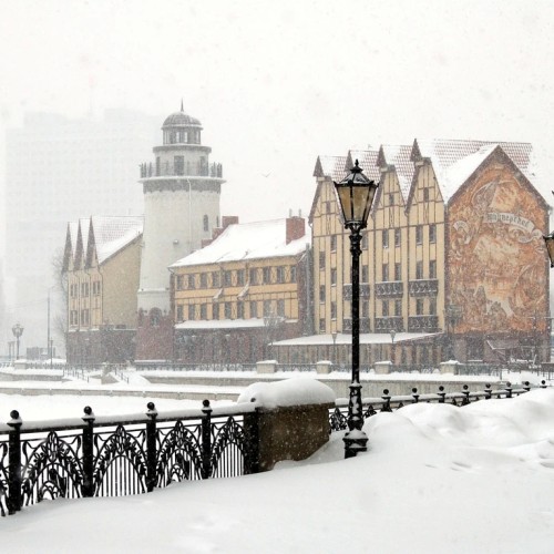 Всё самое главное в Калининградской области: от рыцарских замков до Куршской косы