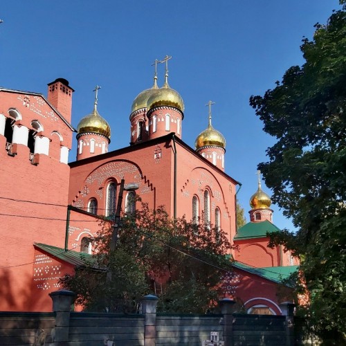 Грибы и гробы: по старинному кладбищу Нижнего Новгорода с микологом