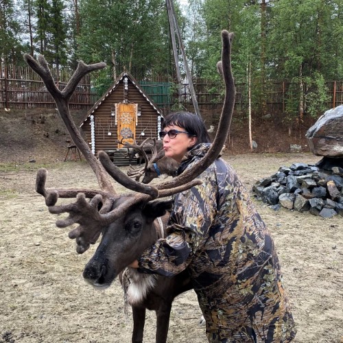 Прочувствуй Арктику: отдых на Русском Севере с ночью в панорамном доме и катанием по Хибинам