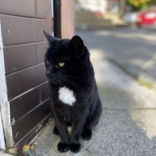 С заботой о себе: спа-отдых на Балтике с экскурсиями, прогулкой на яхте и роскошными ужинами